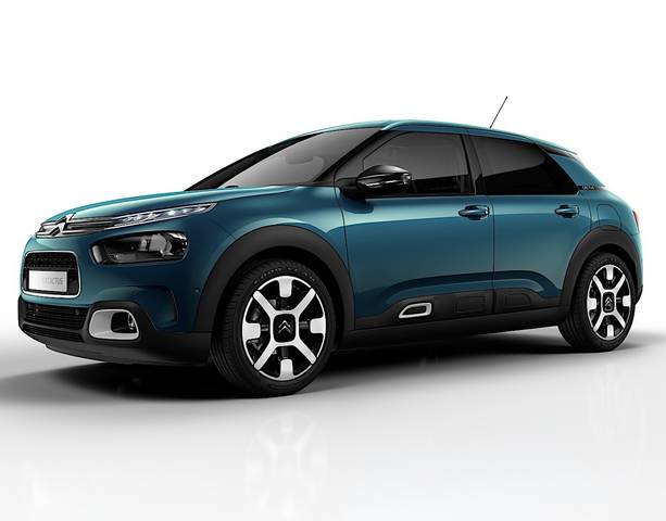 C4 Cactus / С4 Кактус