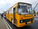 IKARUS-260 (Икарус) стекло ветровое (лобовое)